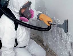 Best Forensic Mold Investigation  in Gang Mills, NY